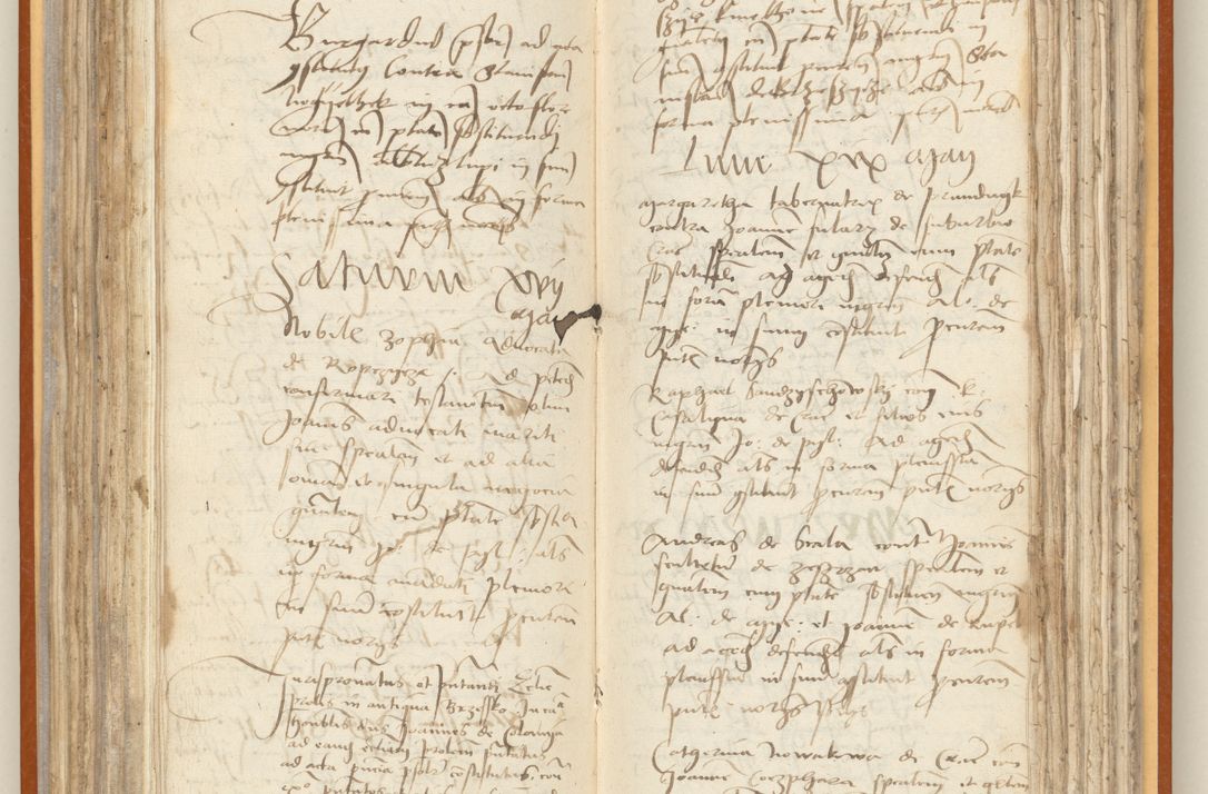 Zdjęcie nr 138 dla obiektu archiwalnego: [Acta constitutionum procuratorum officialia coram Jacobo de Ercieschow]