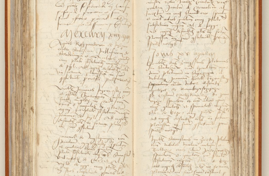 Zdjęcie nr 136 dla obiektu archiwalnego: [Acta constitutionum procuratorum officialia coram Jacobo de Ercieschow]