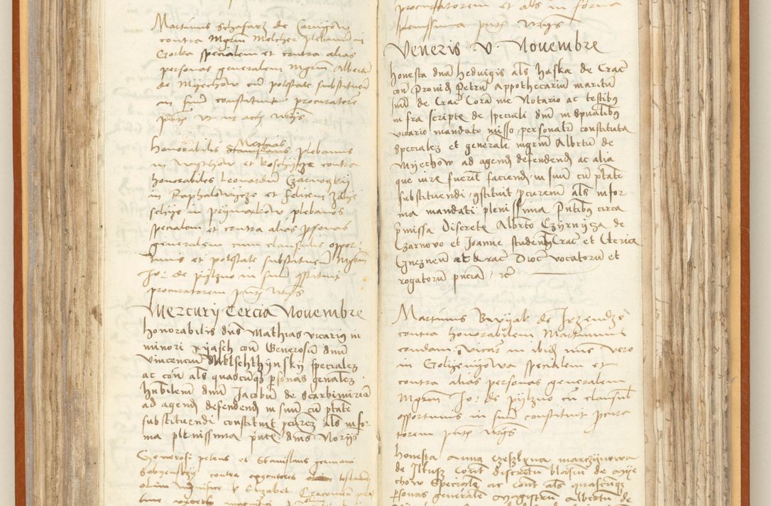 Zdjęcie nr 129 dla obiektu archiwalnego: [Acta constitutionum procuratorum officialia coram Jacobo de Ercieschow]