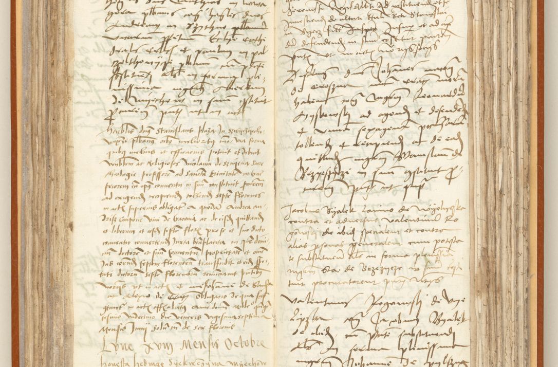 Zdjęcie nr 127 dla obiektu archiwalnego: [Acta constitutionum procuratorum officialia coram Jacobo de Ercieschow]