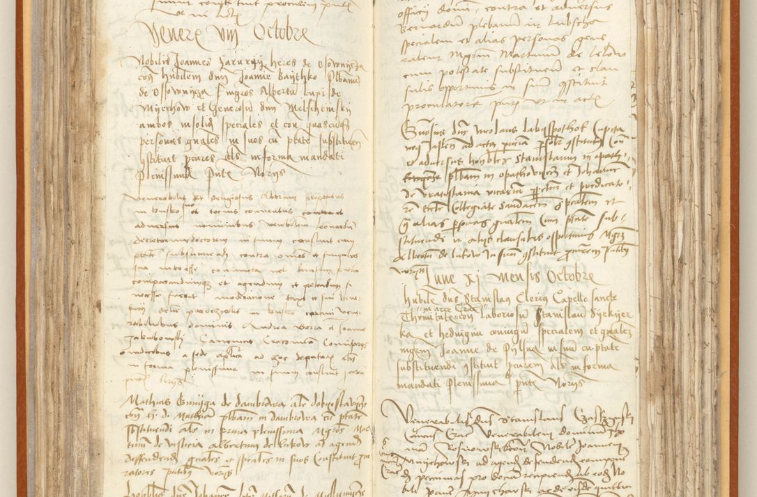 Zdjęcie nr 125 dla obiektu archiwalnego: [Acta constitutionum procuratorum officialia coram Jacobo de Ercieschow]