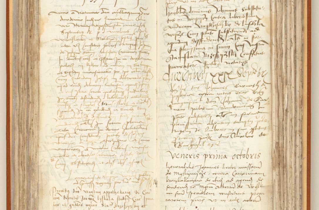 Zdjęcie nr 123 dla obiektu archiwalnego: [Acta constitutionum procuratorum officialia coram Jacobo de Ercieschow]