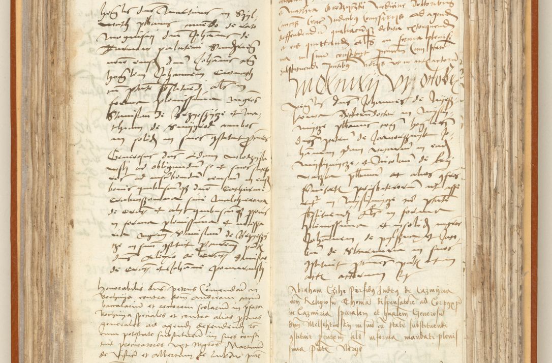 Zdjęcie nr 124 dla obiektu archiwalnego: [Acta constitutionum procuratorum officialia coram Jacobo de Ercieschow]