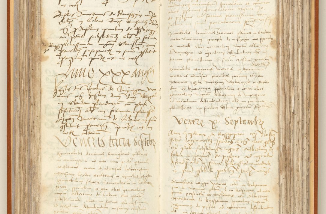 Zdjęcie nr 121 dla obiektu archiwalnego: [Acta constitutionum procuratorum officialia coram Jacobo de Ercieschow]