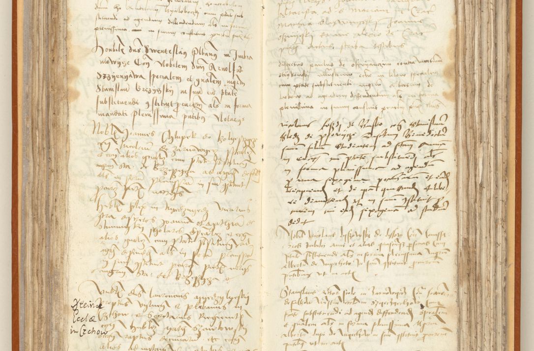 Zdjęcie nr 120 dla obiektu archiwalnego: [Acta constitutionum procuratorum officialia coram Jacobo de Ercieschow]