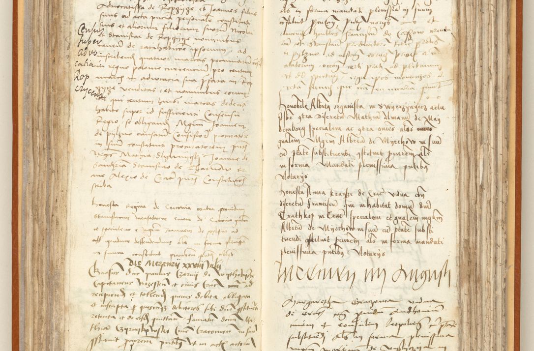 Zdjęcie nr 118 dla obiektu archiwalnego: [Acta constitutionum procuratorum officialia coram Jacobo de Ercieschow]