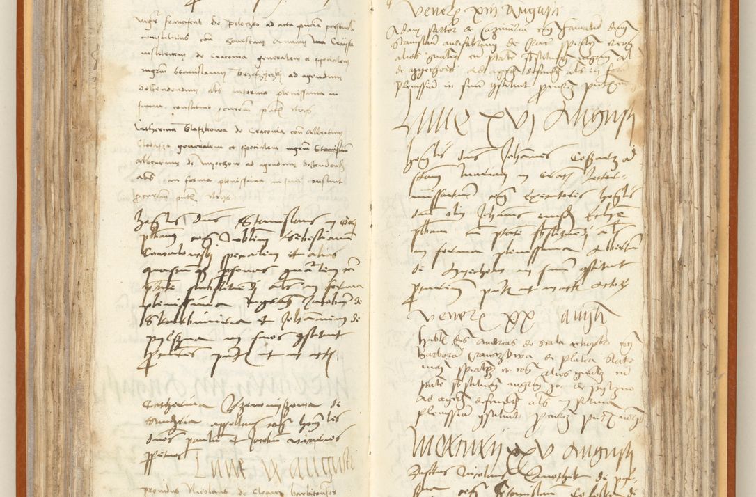 Zdjęcie nr 119 dla obiektu archiwalnego: [Acta constitutionum procuratorum officialia coram Jacobo de Ercieschow]