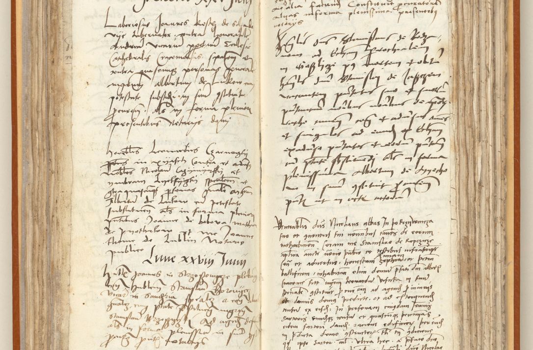 Zdjęcie nr 115 dla obiektu archiwalnego: [Acta constitutionum procuratorum officialia coram Jacobo de Ercieschow]