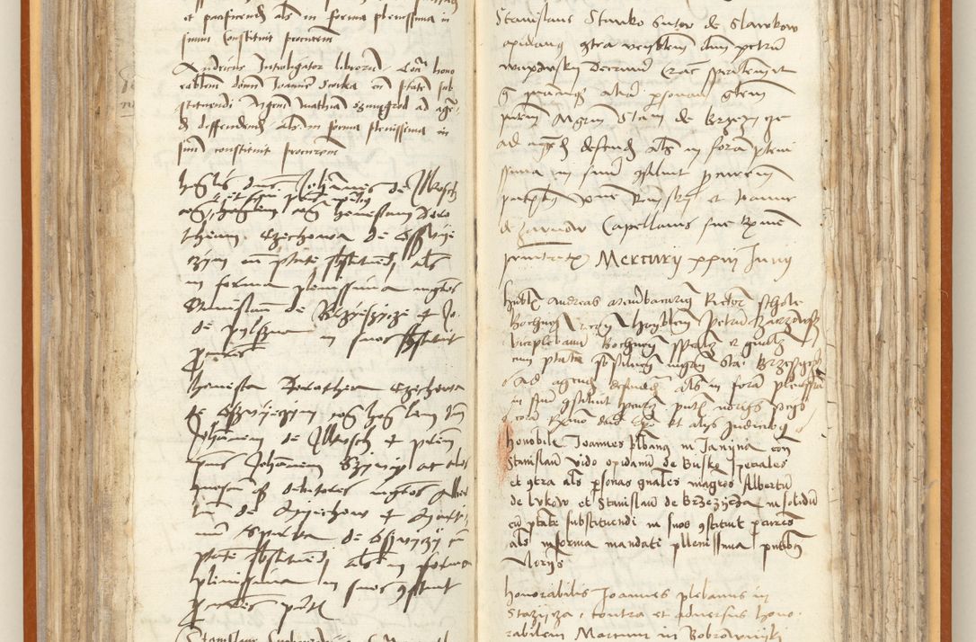 Zdjęcie nr 114 dla obiektu archiwalnego: [Acta constitutionum procuratorum officialia coram Jacobo de Ercieschow]