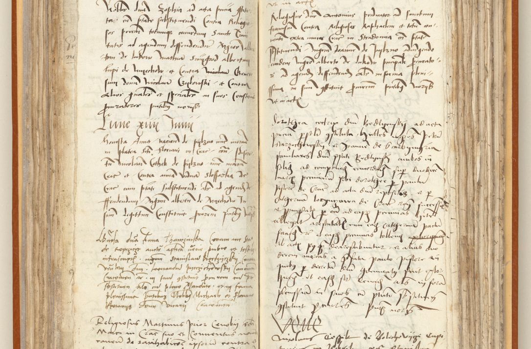 Zdjęcie nr 113 dla obiektu archiwalnego: [Acta constitutionum procuratorum officialia coram Jacobo de Ercieschow]