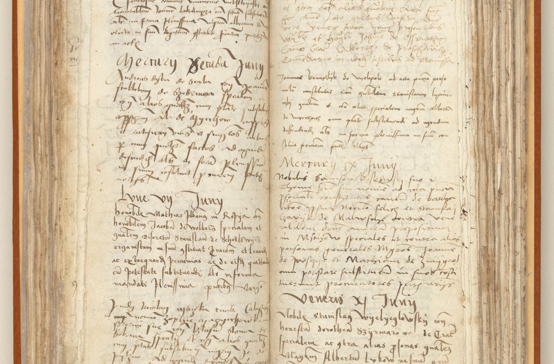 Zdjęcie nr 112 dla obiektu archiwalnego: [Acta constitutionum procuratorum officialia coram Jacobo de Ercieschow]