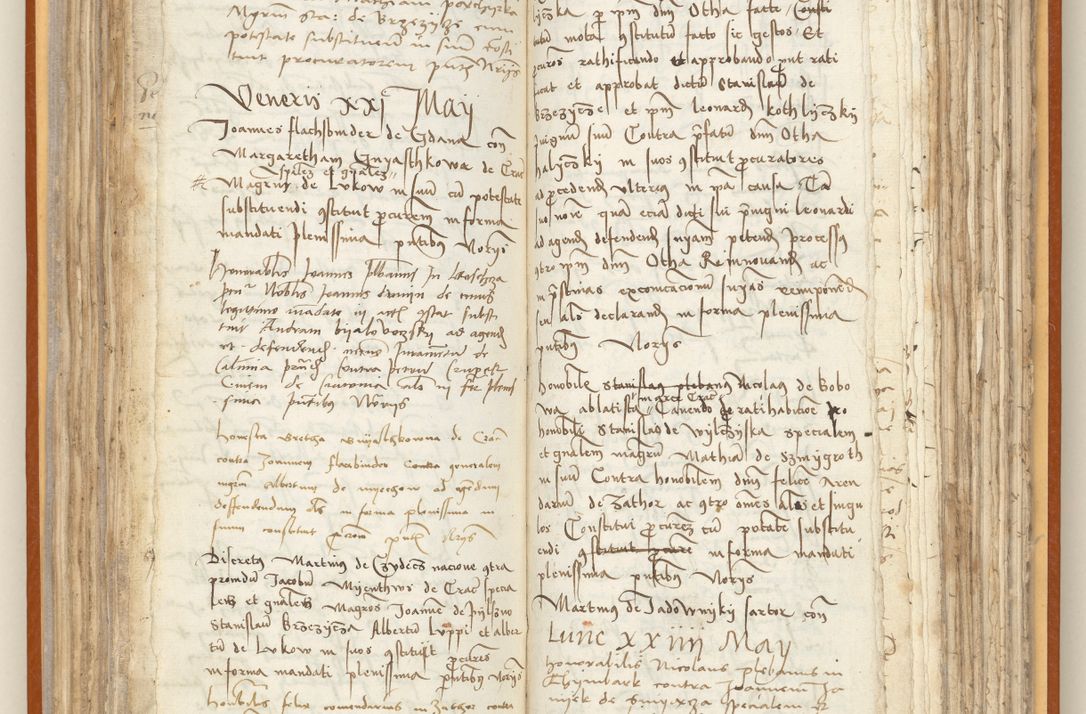 Zdjęcie nr 110 dla obiektu archiwalnego: [Acta constitutionum procuratorum officialia coram Jacobo de Ercieschow]