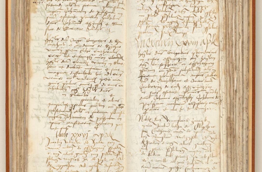 Zdjęcie nr 105 dla obiektu archiwalnego: [Acta constitutionum procuratorum officialia coram Jacobo de Ercieschow]