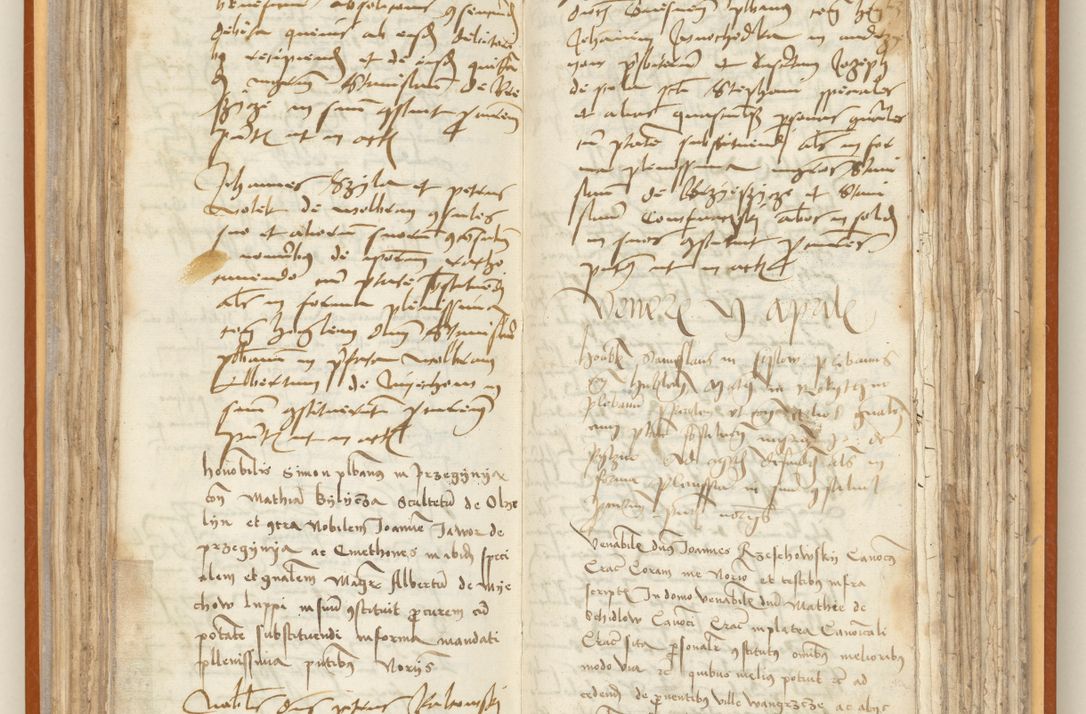 Zdjęcie nr 103 dla obiektu archiwalnego: [Acta constitutionum procuratorum officialia coram Jacobo de Ercieschow]