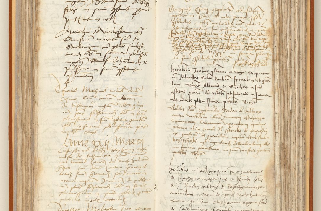 Zdjęcie nr 100 dla obiektu archiwalnego: [Acta constitutionum procuratorum officialia coram Jacobo de Ercieschow]