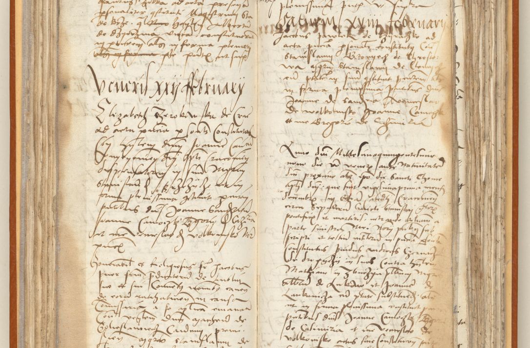 Zdjęcie nr 88 dla obiektu archiwalnego: [Acta constitutionum procuratorum officialia coram Jacobo de Ercieschow]