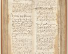 Zdjęcie nr 88 dla obiektu archiwalnego: [Acta constitutionum procuratorum officialia coram Jacobo de Ercieschow]