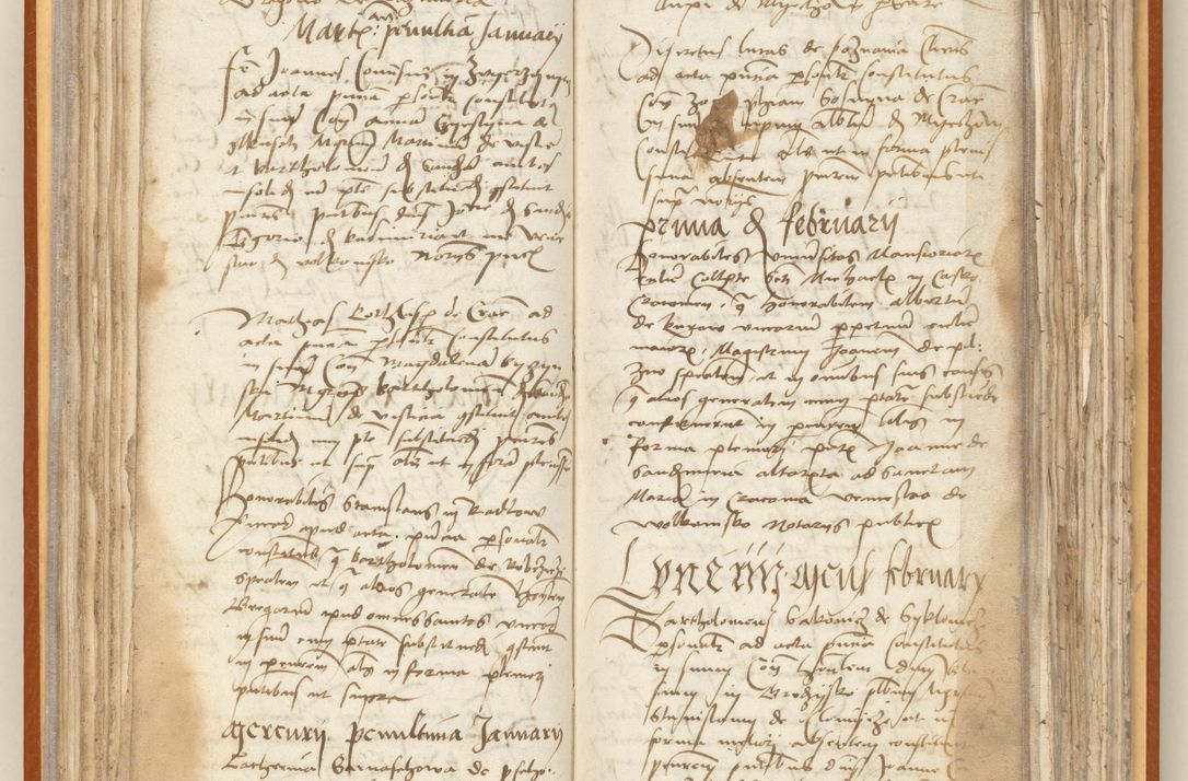 Zdjęcie nr 83 dla obiektu archiwalnego: [Acta constitutionum procuratorum officialia coram Jacobo de Ercieschow]