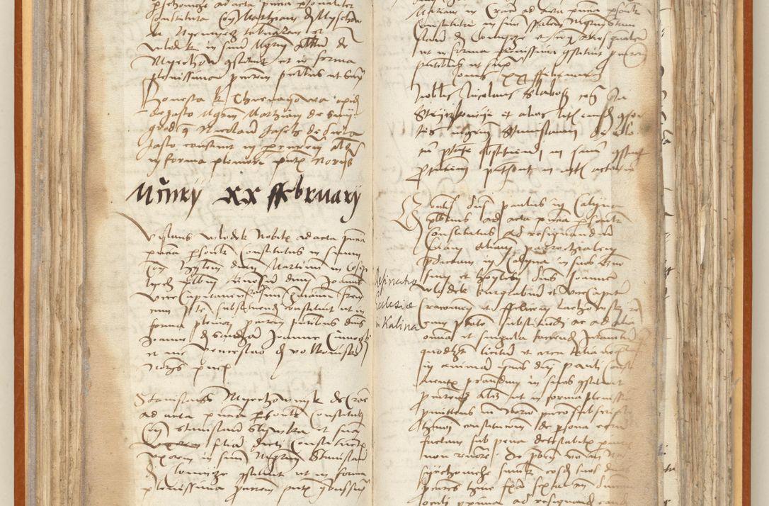 Zdjęcie nr 87 dla obiektu archiwalnego: [Acta constitutionum procuratorum officialia coram Jacobo de Ercieschow]