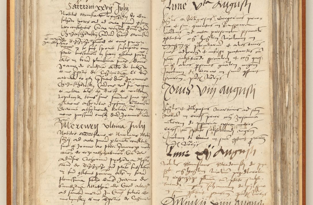 Zdjęcie nr 71 dla obiektu archiwalnego: [Acta constitutionum procuratorum officialia coram Jacobo de Ercieschow]