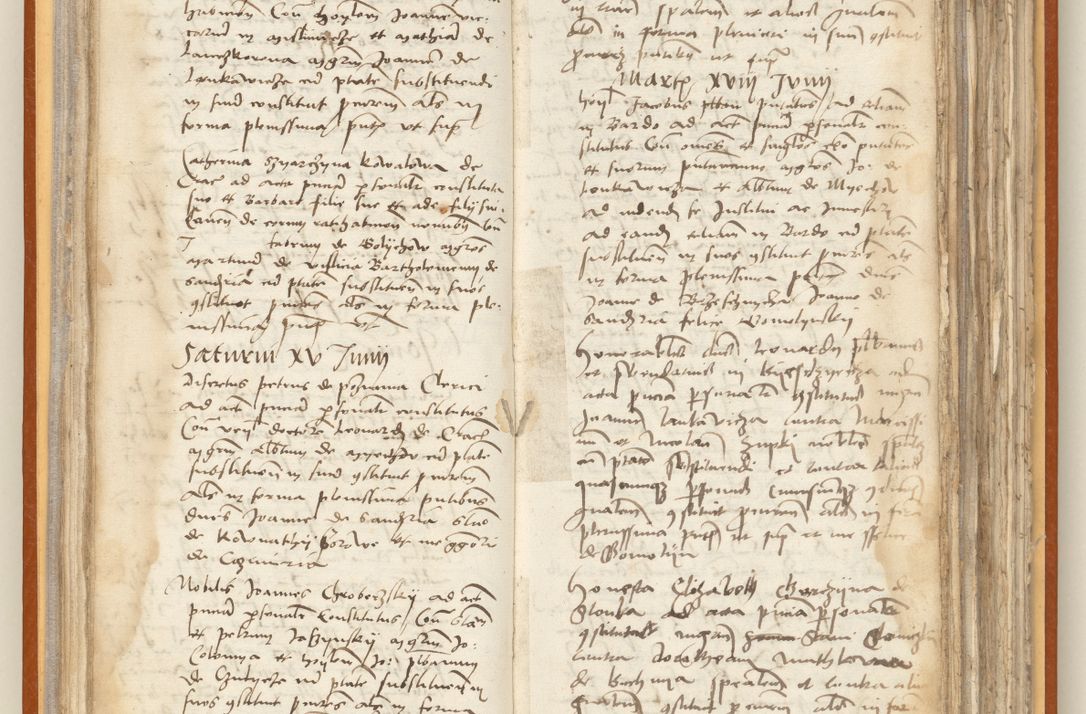 Zdjęcie nr 53 dla obiektu archiwalnego: [Acta constitutionum procuratorum officialia coram Jacobo de Ercieschow]