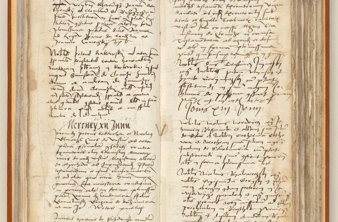 Zdjęcie nr 52 dla obiektu archiwalnego: [Acta constitutionum procuratorum officialia coram Jacobo de Ercieschow]