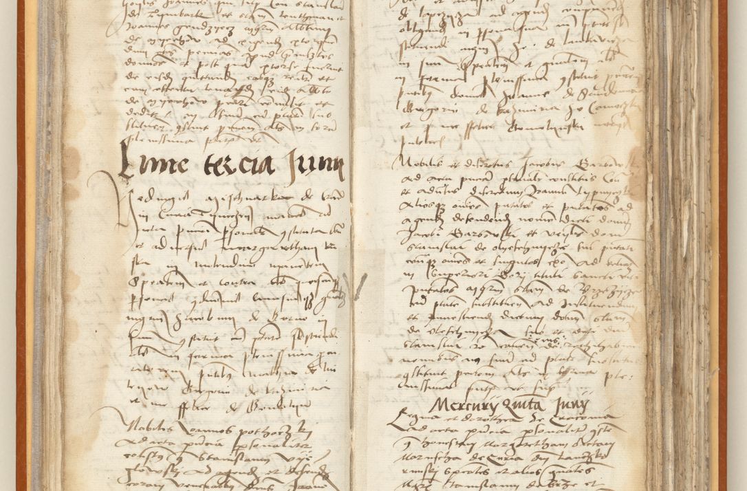 Zdjęcie nr 50 dla obiektu archiwalnego: [Acta constitutionum procuratorum officialia coram Jacobo de Ercieschow]