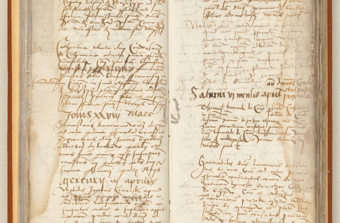 Zdjęcie nr 35 dla obiektu archiwalnego: [Acta constitutionum procuratorum officialia coram Jacobo de Ercieschow]