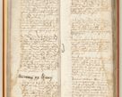 Zdjęcie nr 33 dla obiektu archiwalnego: [Acta constitutionum procuratorum officialia coram Jacobo de Ercieschow]