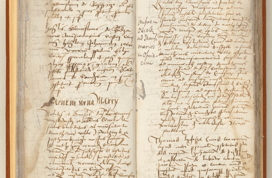 Zdjęcie nr 30 dla obiektu archiwalnego: [Acta constitutionum procuratorum officialia coram Jacobo de Ercieschow]