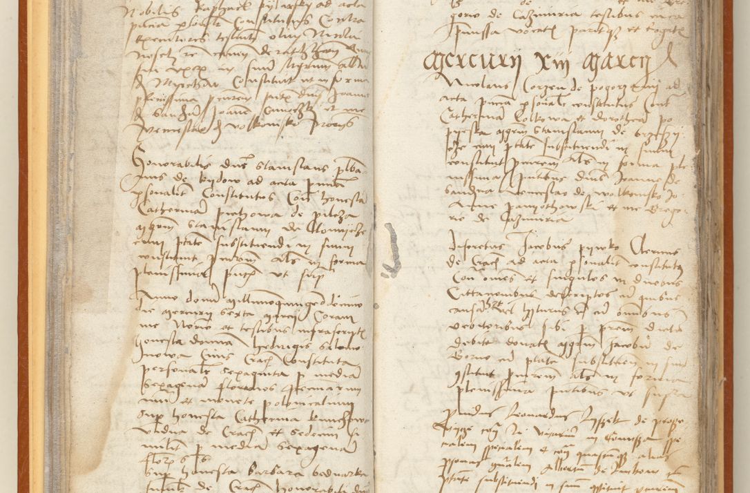 Zdjęcie nr 31 dla obiektu archiwalnego: [Acta constitutionum procuratorum officialia coram Jacobo de Ercieschow]