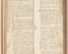 Zdjęcie nr 31 dla obiektu archiwalnego: [Acta constitutionum procuratorum officialia coram Jacobo de Ercieschow]