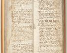 Zdjęcie nr 29 dla obiektu archiwalnego: [Acta constitutionum procuratorum officialia coram Jacobo de Ercieschow]