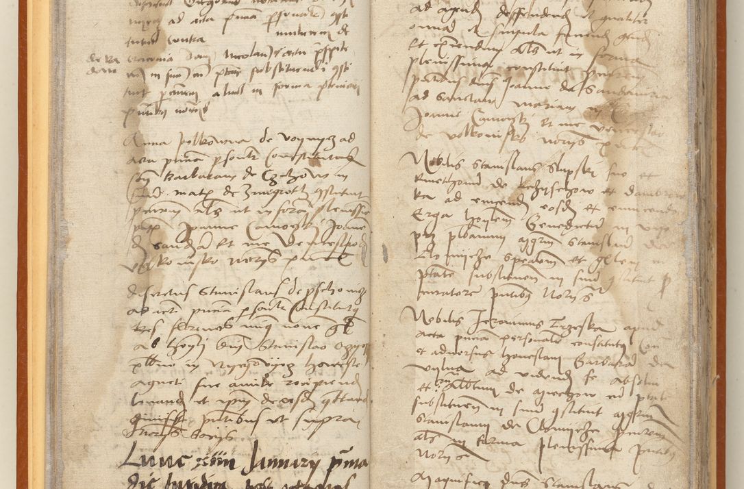 Zdjęcie nr 26 dla obiektu archiwalnego: [Acta constitutionum procuratorum officialia coram Jacobo de Ercieschow]