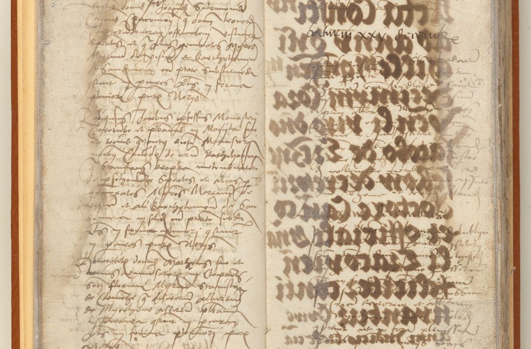 Zdjęcie nr 22 dla obiektu archiwalnego: [Acta constitutionum procuratorum officialia coram Jacobo de Ercieschow]