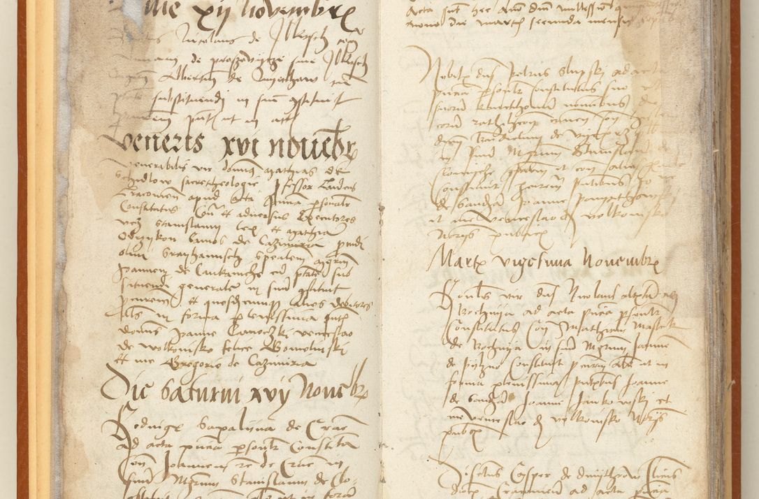 Zdjęcie nr 17 dla obiektu archiwalnego: [Acta constitutionum procuratorum officialia coram Jacobo de Ercieschow]