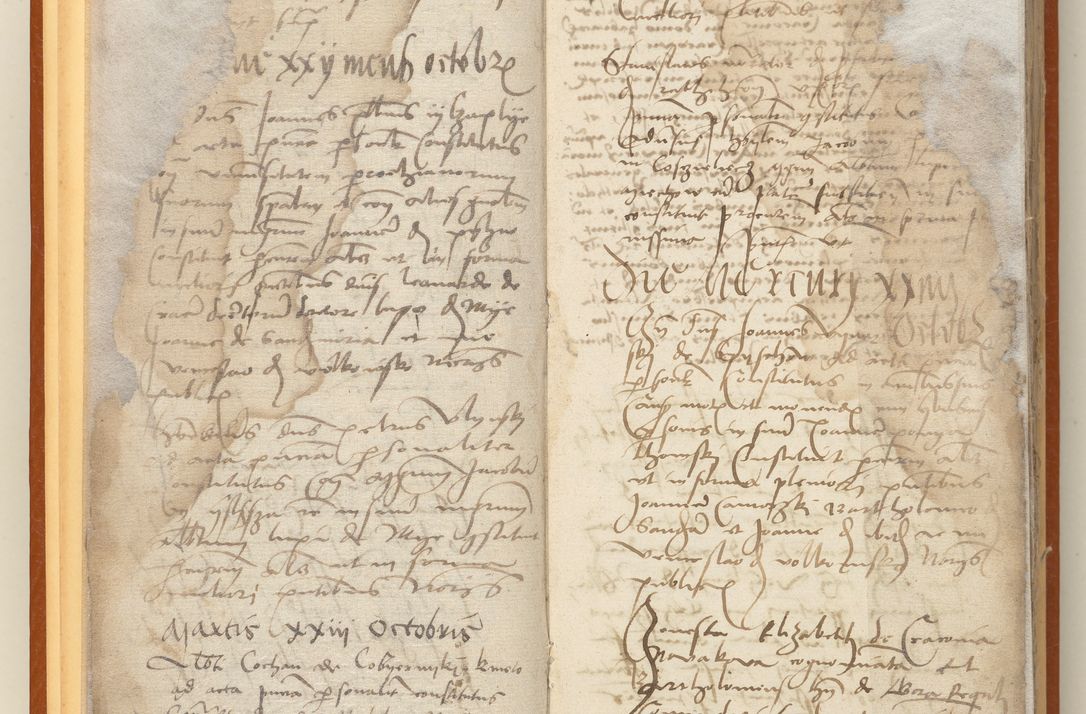 Zdjęcie nr 13 dla obiektu archiwalnego: [Acta constitutionum procuratorum officialia coram Jacobo de Ercieschow]