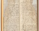 Zdjęcie nr 13 dla obiektu archiwalnego: [Acta constitutionum procuratorum officialia coram Jacobo de Ercieschow]