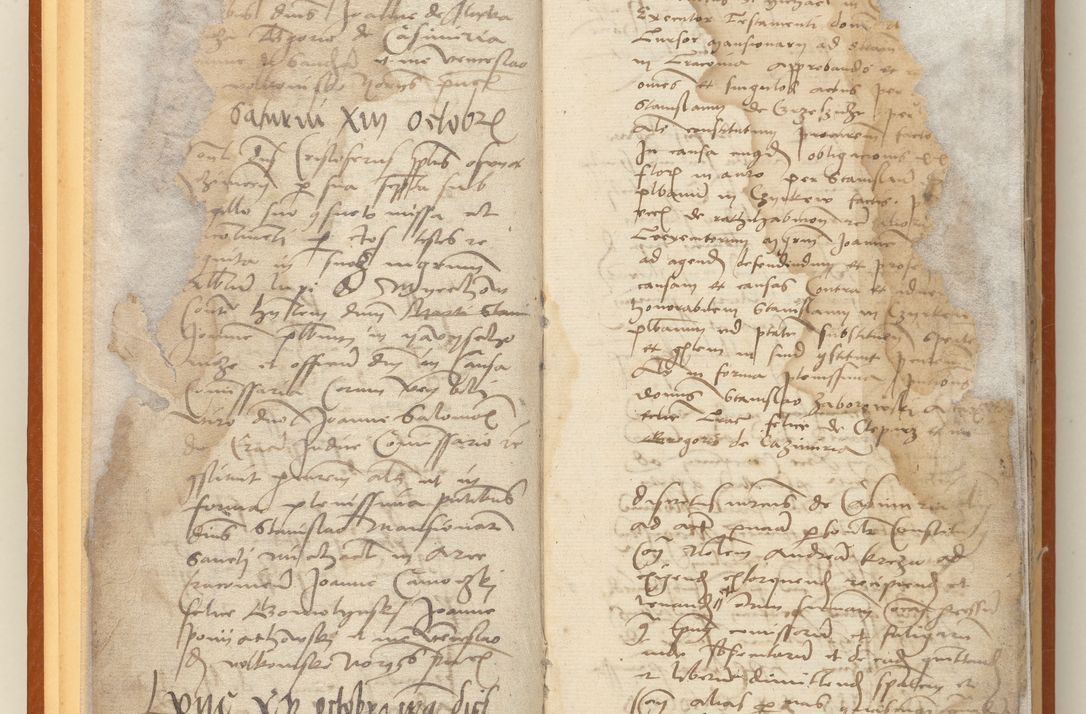 Zdjęcie nr 11 dla obiektu archiwalnego: [Acta constitutionum procuratorum officialia coram Jacobo de Ercieschow]