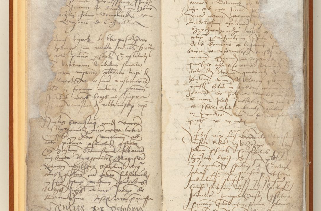 Zdjęcie nr 12 dla obiektu archiwalnego: [Acta constitutionum procuratorum officialia coram Jacobo de Ercieschow]