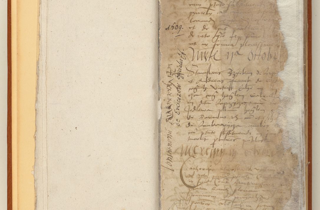 Zdjęcie nr 8 dla obiektu archiwalnego: [Acta constitutionum procuratorum officialia coram Jacobo de Ercieschow]