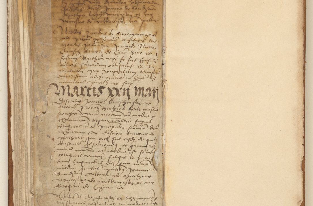 Zdjęcie nr 182 dla obiektu archiwalnego: [Acta] obligation[um] coram reverendo p[atre] domino Johanne de Starzechouicze decretor[um] doctore, scolastico Visl[i]ciensi, canonico et in spirituali[bus] vicario generali Crac[oviensi] ad annum Domini m[ille]simum quingentesimum [quartum], indicione septim[a], [pon]tificatus sancti[ssimi in] Christo patris [domini nostri] domini Julii divina pro[vi]dencia pape secundi, anno primo feliciter i[nci]piunt.