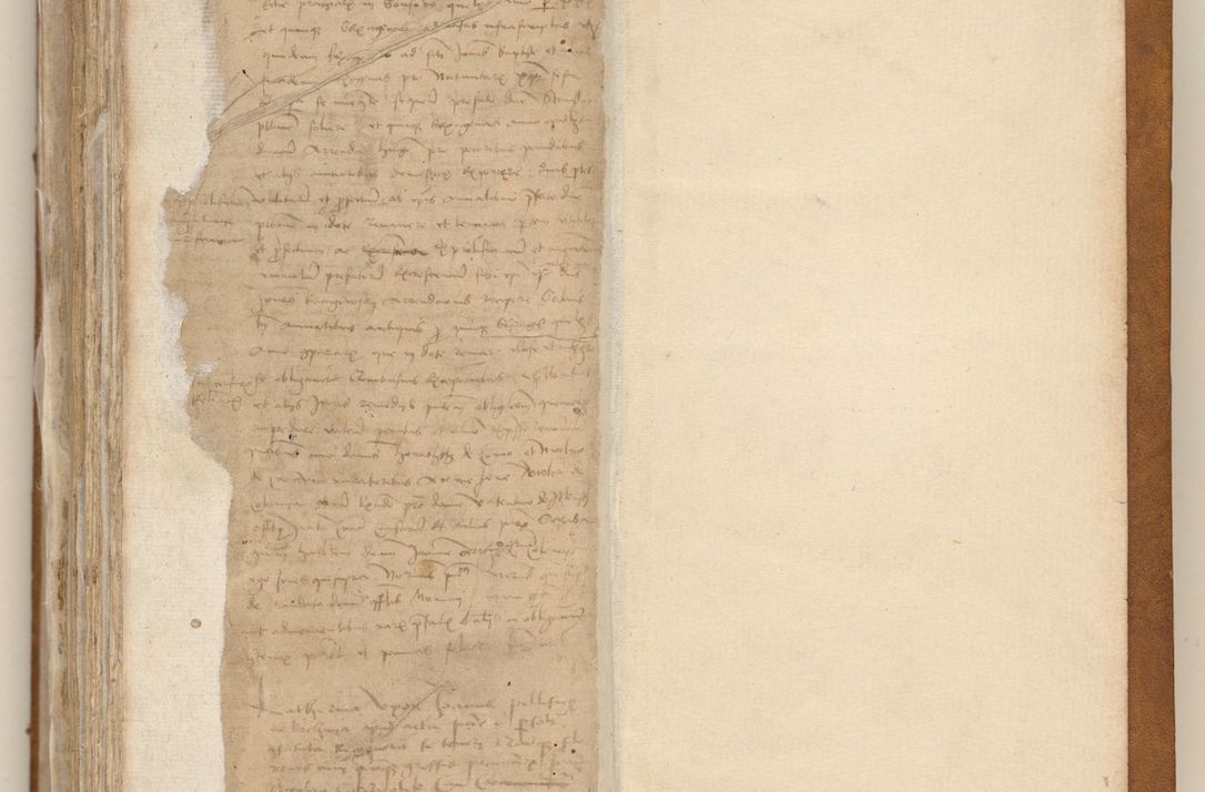 Zdjęcie nr 494 dla obiektu archiwalnego: [Acta obligationum officialia coram Johanne de Starzechowicze]