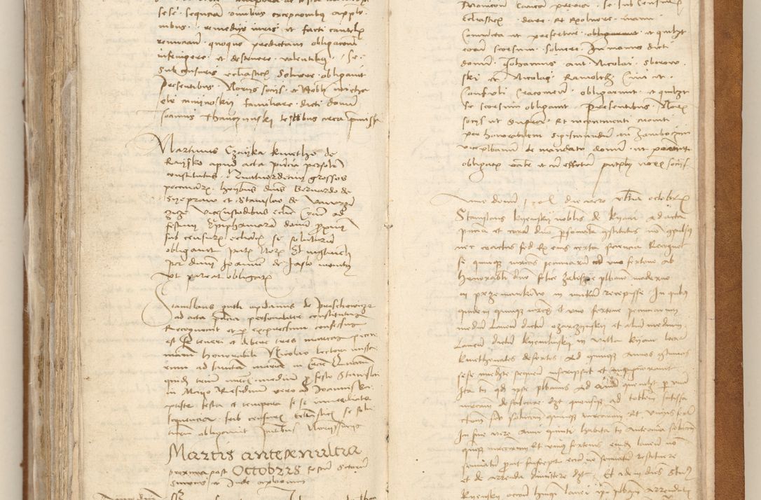 Zdjęcie nr 476 dla obiektu archiwalnego: [Acta obligationum officialia coram Johanne de Starzechowicze]