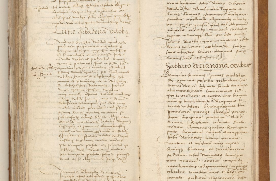 Zdjęcie nr 474 dla obiektu archiwalnego: [Acta obligationum officialia coram Johanne de Starzechowicze]