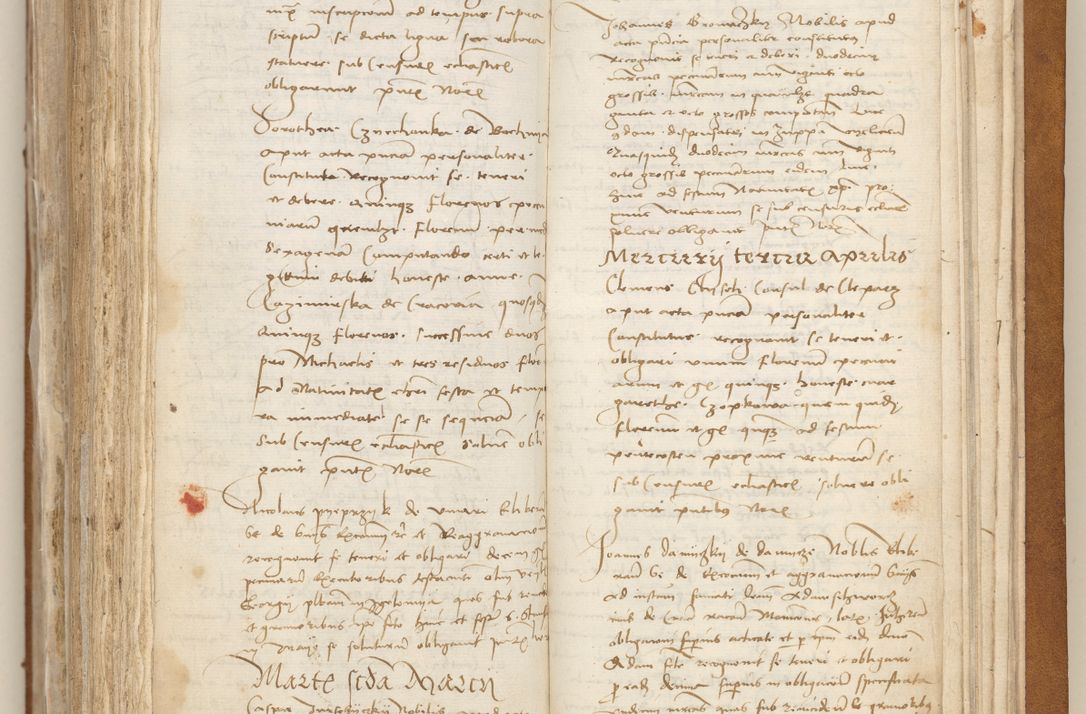 Zdjęcie nr 460 dla obiektu archiwalnego: [Acta obligationum officialia coram Johanne de Starzechowicze]