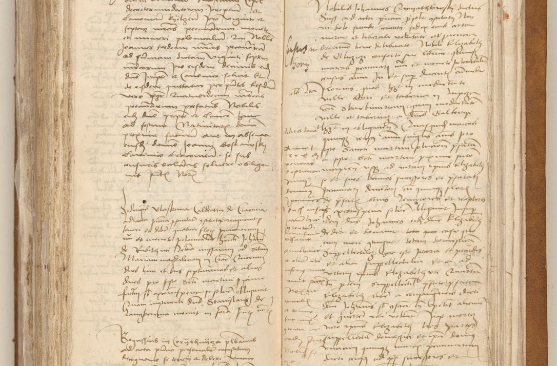 Zdjęcie nr 450 dla obiektu archiwalnego: [Acta obligationum officialia coram Johanne de Starzechowicze]