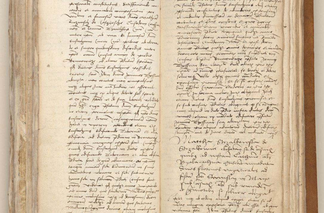 Zdjęcie nr 353 dla obiektu archiwalnego: [Acta obligationum officialia coram Johanne de Starzechowicze]