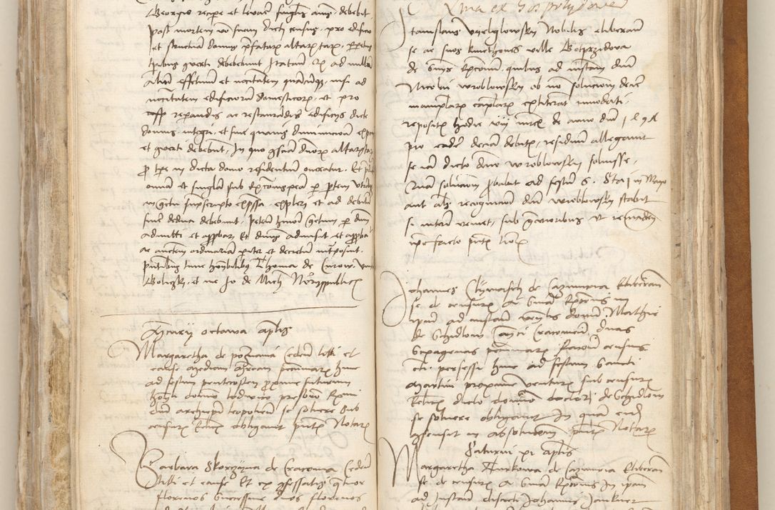 Zdjęcie nr 335 dla obiektu archiwalnego: [Acta obligationum officialia coram Johanne de Starzechowicze]