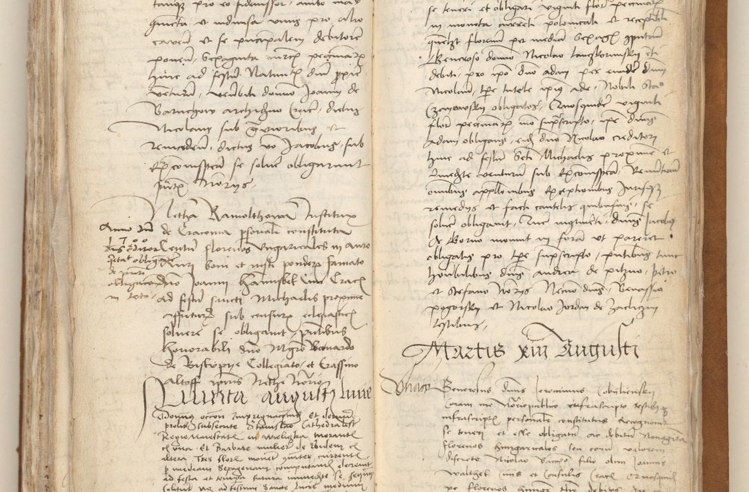 Zdjęcie nr 304 dla obiektu archiwalnego: [Acta obligationum officialia coram Johanne de Starzechowicze]